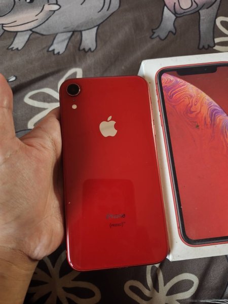 iPhone xr สีเเดง