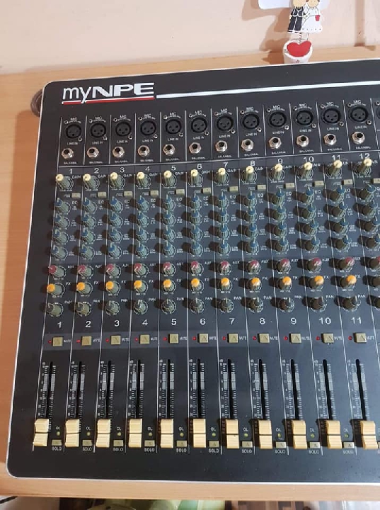 Mix NPE-M12