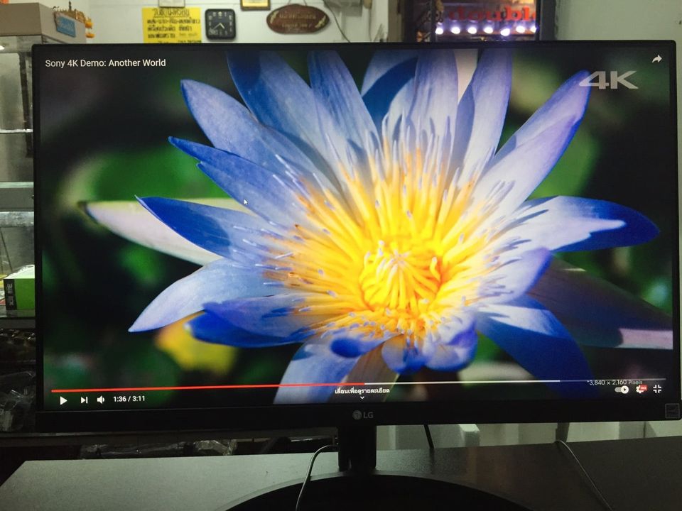 Monitor LG 24MK600M-B (IPS, HDMI) 23.8 นิ้ว 75Hz