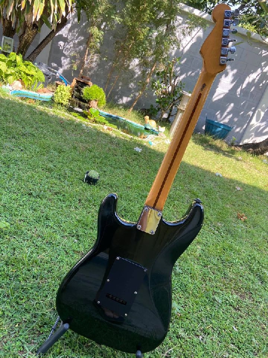 Fender Maxico