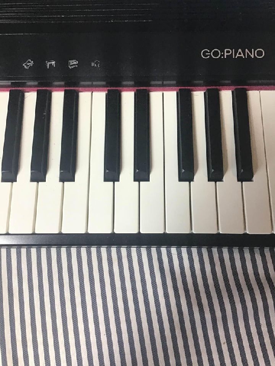 คีย์บอร์ด Roland go piano